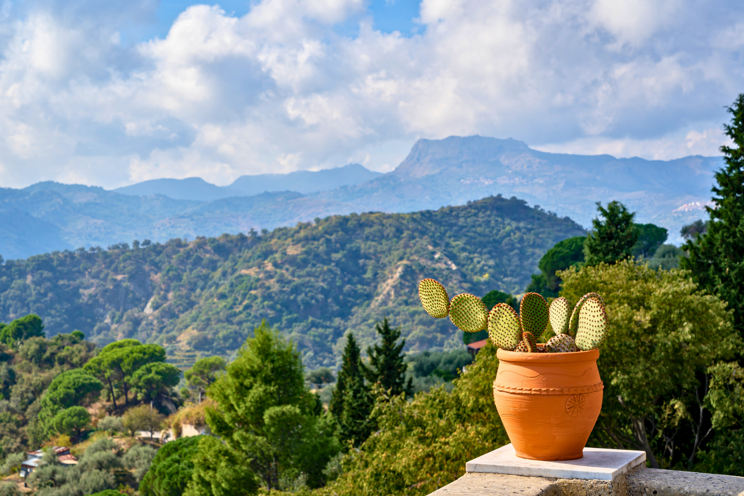 savoca (4).webp